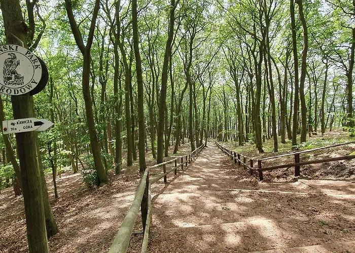 Balticus Deluxe Miedzyzdroje